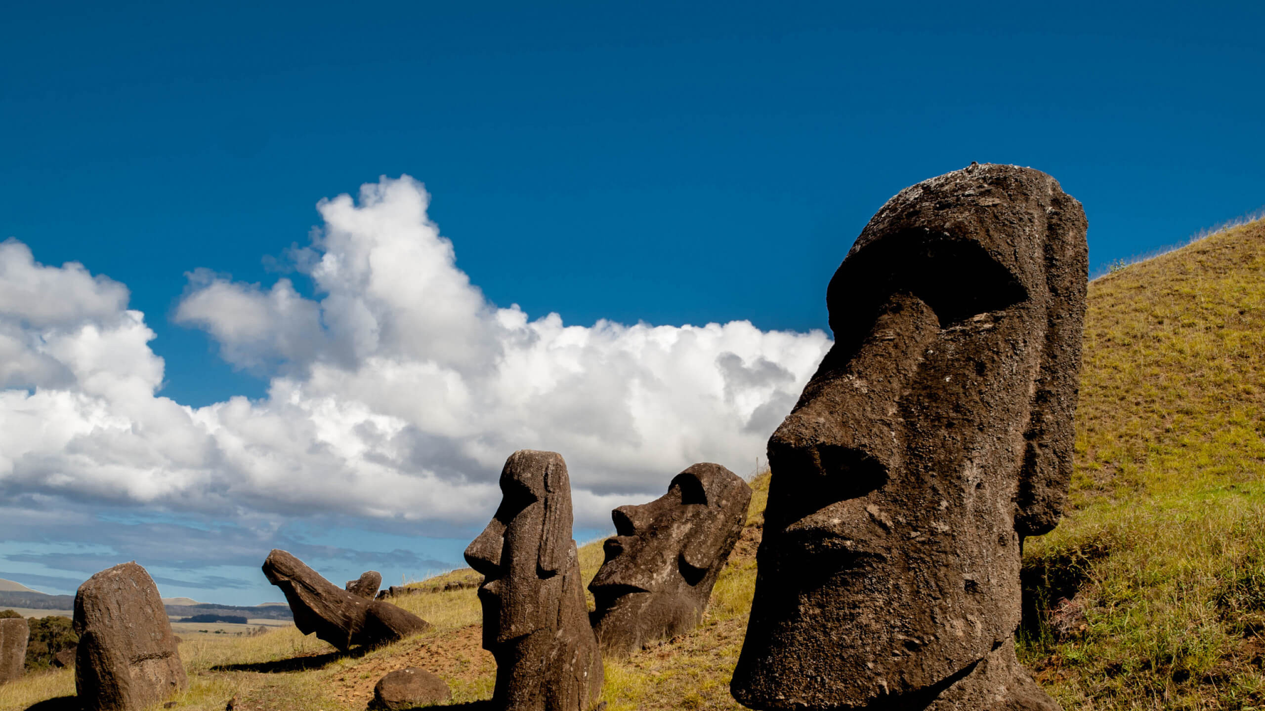 Каменные идолы. Остров Пасхи статуи Моаи. Каменные статуи Моаи остров Пасхи Чили. Моаи (статуи острова Пасхи), Чили. Истуканы Рапа-Нуи остров Пасхи.