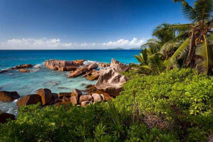 SCINTILLATING SEYCHELLES