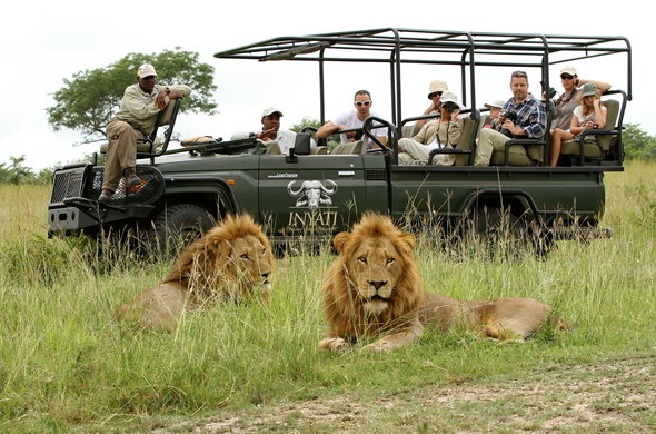 STRIKING WILDLIFE OF SOUTH AFRICA